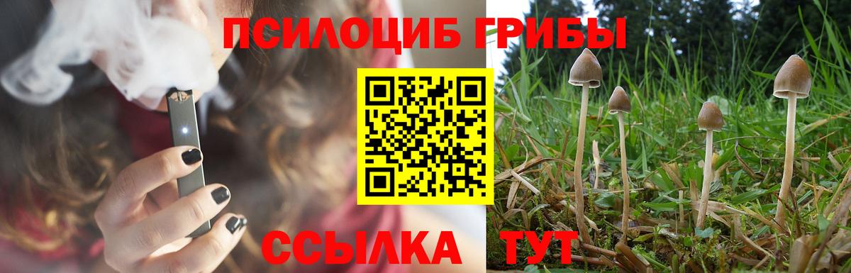 Псилоцибиновые грибы GOLDEN TEACHER  Вход с VPN  Галлюциногенные грибы мицелий  Скопин 